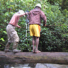 Papuan man helping Carol Masheter cross a log bridge